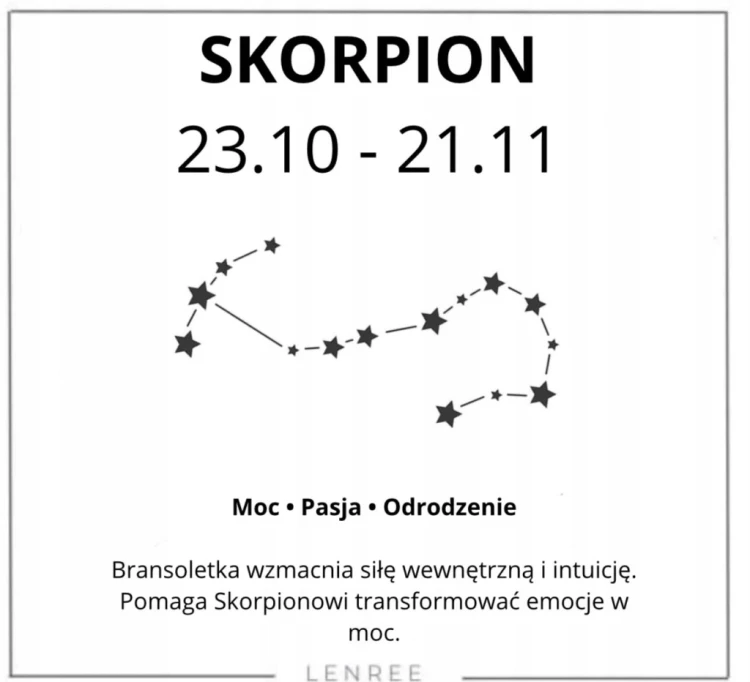 Bransoletka SKORPION JASPIS KAMIEŃ KSIĘŻYCOWY AMAZONIT LENREE